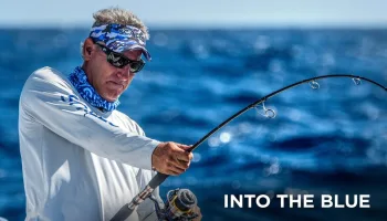 Into the Blue