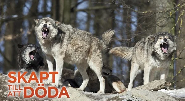 Skapt till att döda