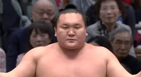 Sumopedia