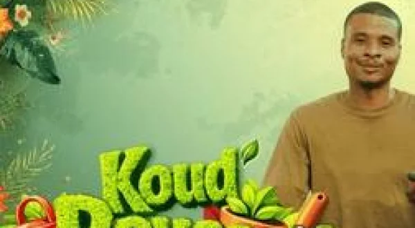 Koud pouss