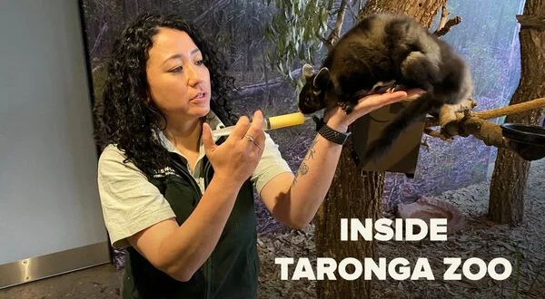 Inside Taronga Zoo