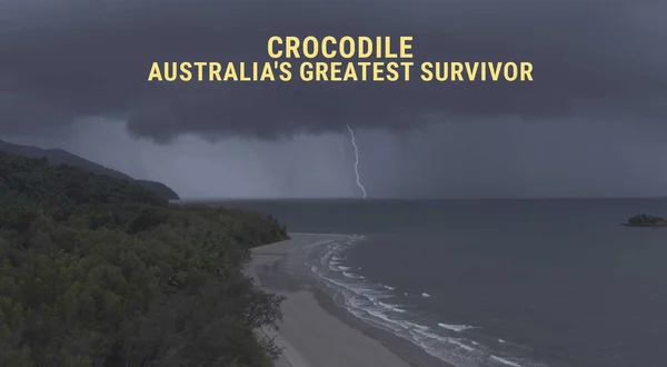 Crocodile: Australia's Greatest Survivor