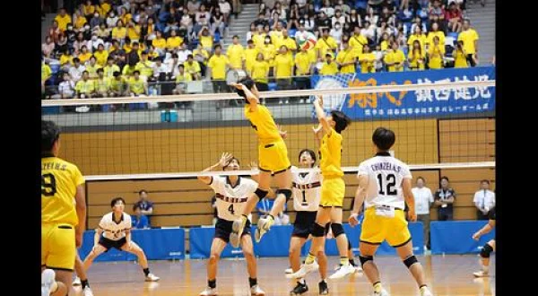 インターハイ2026 バレーボール 女子決勝