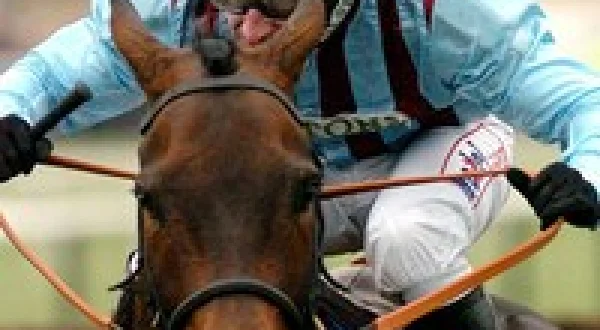 Great Racehorses