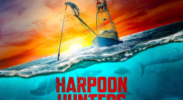Boom Phase; Harpoon Hunters