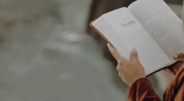 Die Bibel - Der Mensch