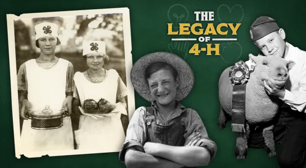 The Legacy of 4-H