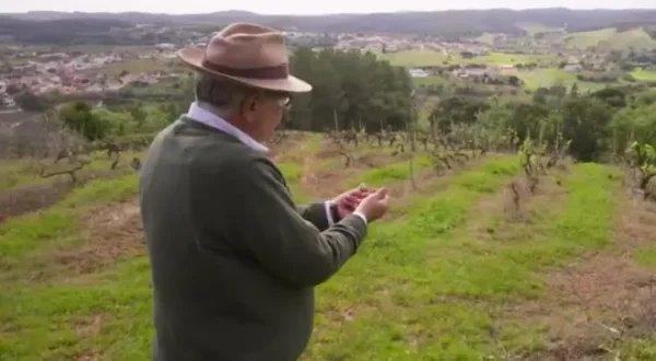 O Resto É Paisagem
