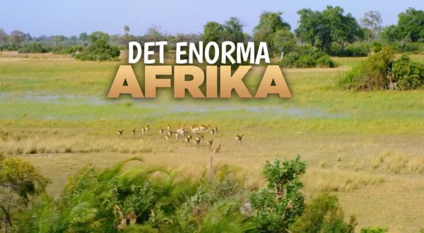Det enorma Afrika