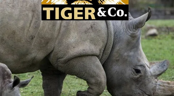 Elefant, Tiger & Co