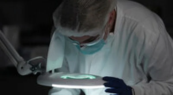 Forensics: Catching the Killer