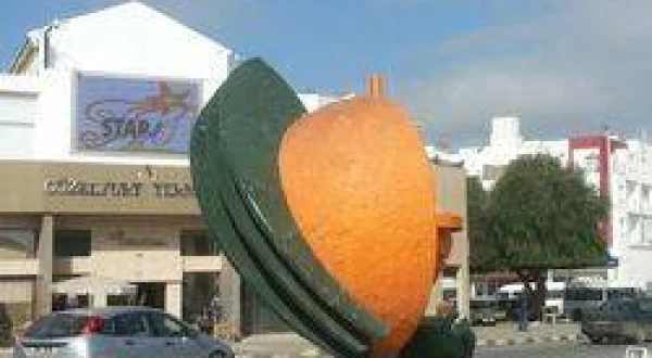 Hayata Dair Güzelyurt
