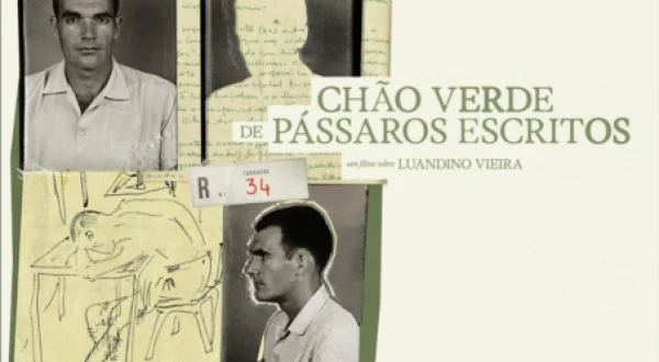 Chão Verde de Pássaros Escritos