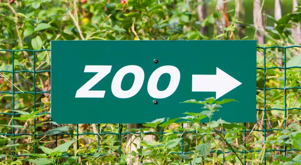 Elefant, Tiger & Kids: Zoo-Praktikum Backstage