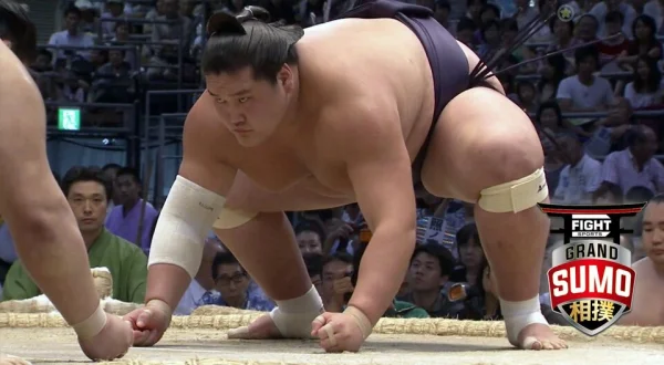 Fight Sports: Grand Sumo