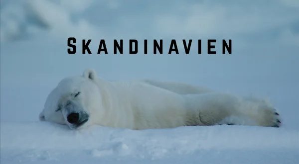 Skandinavia