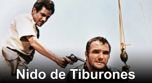 Nido de tiburones