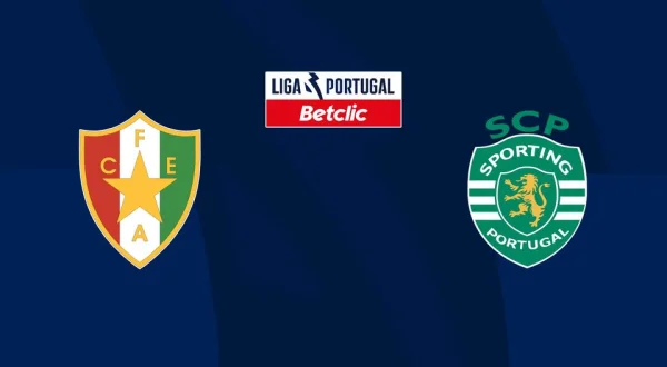 Live: Primeira Liga Soccer