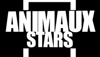 Animaux stars