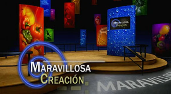 Maravillosa Creación