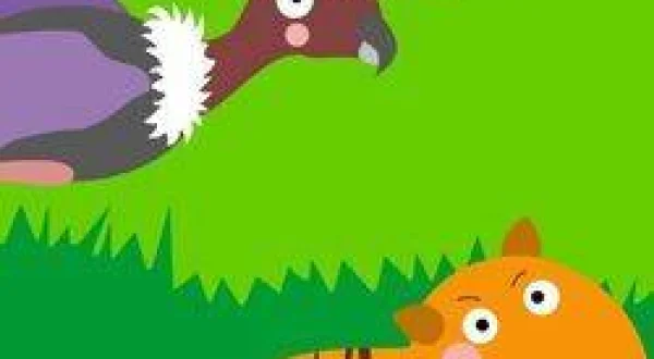 Safari