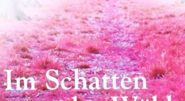 Im Schatten Der Wälder