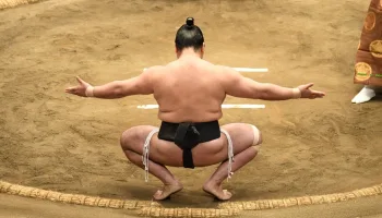 Grand Sumo Highlights