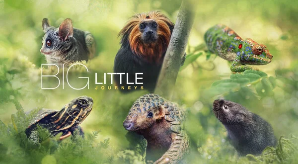 Big Little Journeys