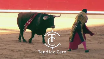 Tendido cero