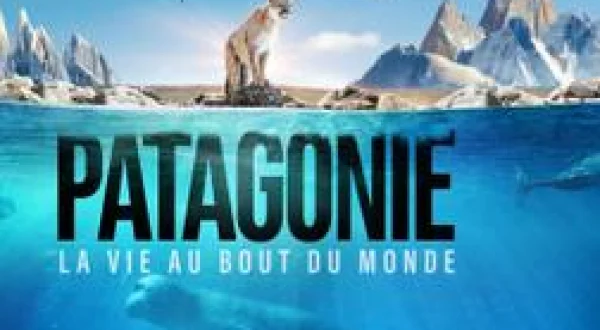 Patagonie la vie au bout du monde