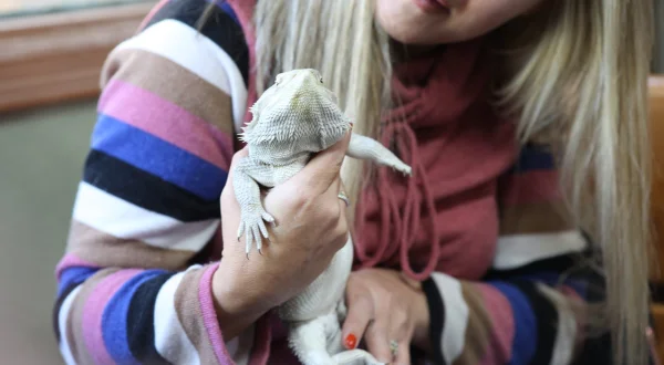 Dr. Ole: Tierarzt im Einsatz