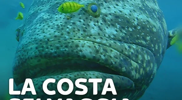 La costa selvaggia della Colombia