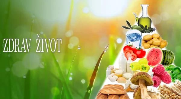 Zdrav život