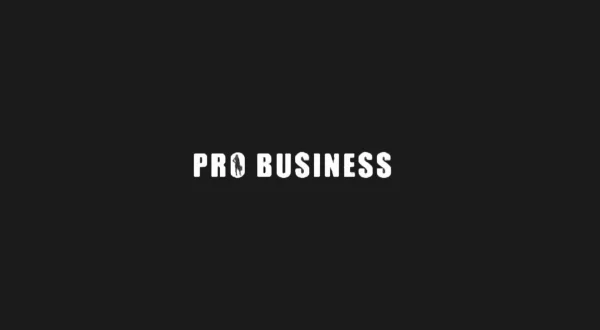 Pro Business