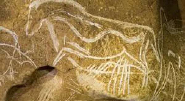 Grotte Chauvet : Dans les pas des artistes de la Préhistoire