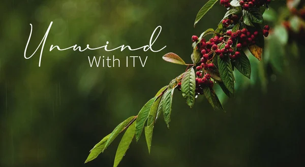 Unwind with ITV