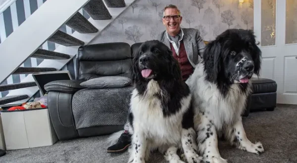 Hunde ausser Kontrolle