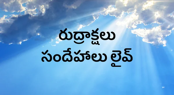 Rudrakshalu Sandehalu Live
