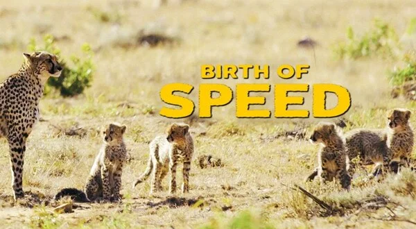 Birth Of Speed