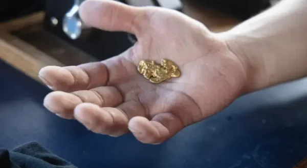 Gold Divers