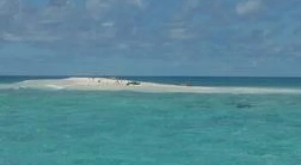 Destination Wild : Hawaï à l'état sauvage