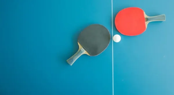 Tennis de table: WTT Champions de Montpellier