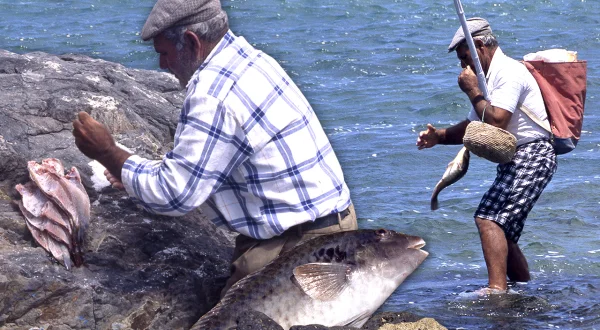 Fernando, pescador artesano de la vieja. Técnica tradicional para la pesca de este pez