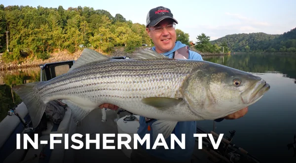 In Fisherman TV