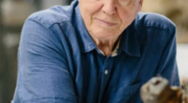 Attenborough and the Giant Elephant