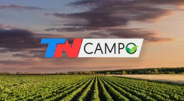 TN Campo