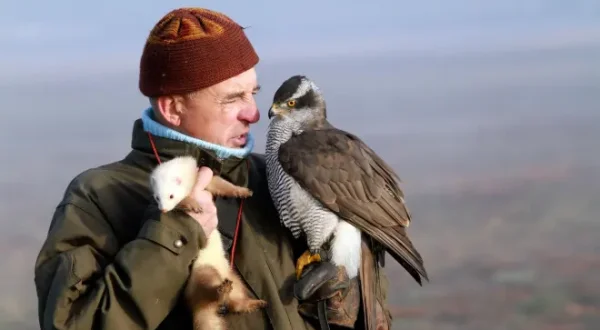 5 nuances de chasse au vol