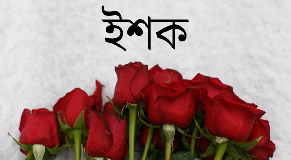 Ishq