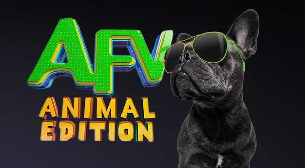 America's Funniest Home Videos: Animal Edition
