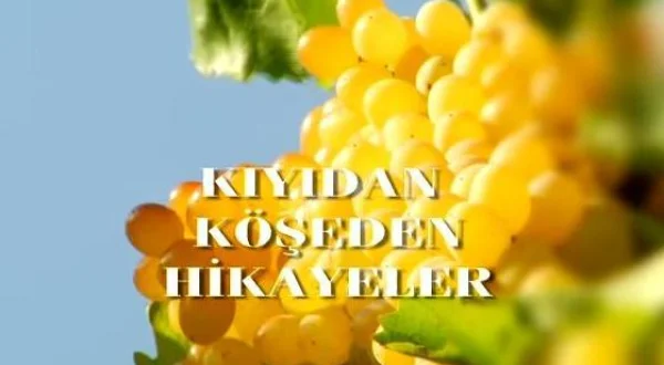 Kıyıdan Köşeden Hikayeler